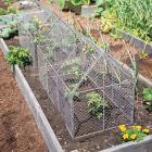 Chicken Wire Crop Coop